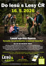 pozvánka
